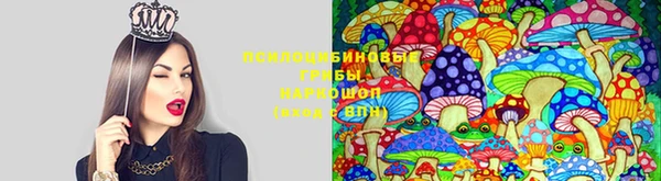 ГАЛЛЮЦИНОГЕННЫЕ ГРИБЫ Володарск