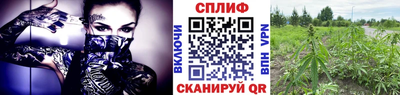Бошки марихуана индика  что такое   hydra онион  Октябрьский 